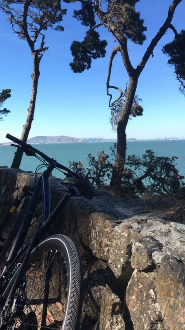 A bicycle beside the water on a coastal ride
